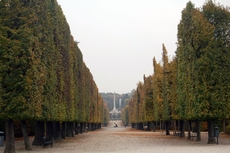 Schloss Schönbrunn_Schlossgarten_05.JPG